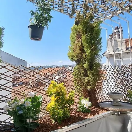 R.d.v. Duplex Center