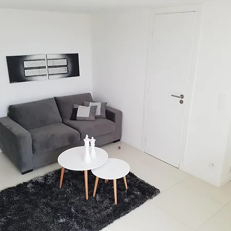 R.d.v. Center Apartment
