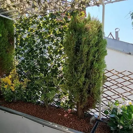 R.d.v. Duplex Center דירה *