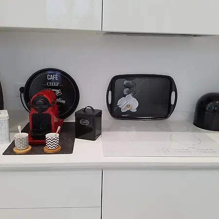 דירה R.d.v. Duplex Center ניס