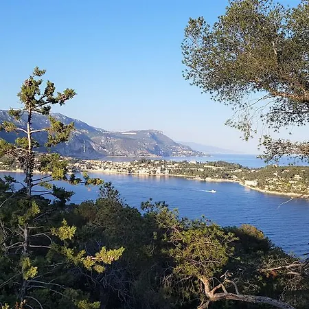 R.d.v. Duplex Center * ניס